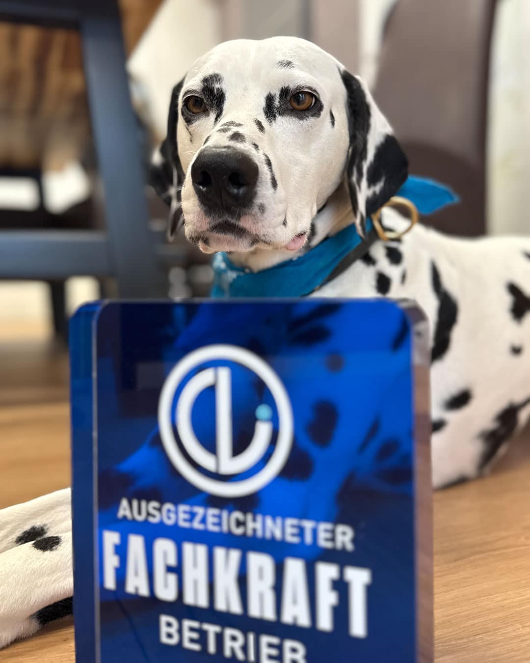 ausgezeichneter-fachkraft-betrieb-christian-lepsien-001