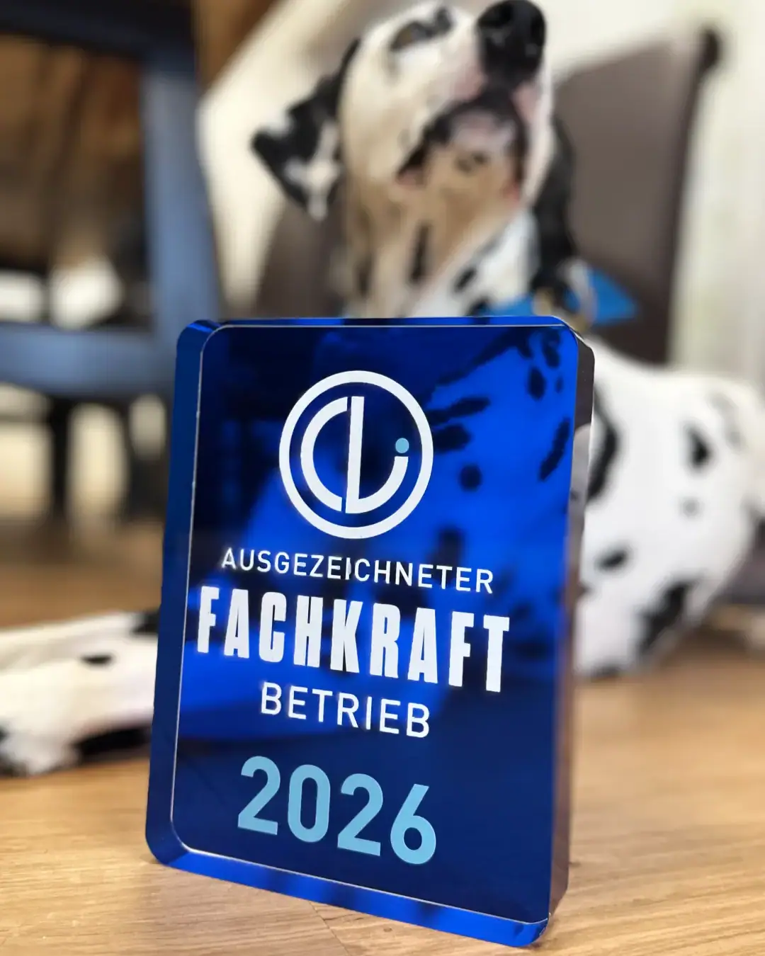 bisilux-concept-ausgezeichneter-fachkraft-betrieb-2026-008